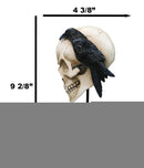 Poe's Raven Nevermore Skull Masque Ornament On Pole Stand Or Wall Sculpture