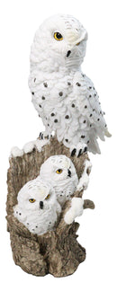 Snowy Owl Mother with Two Owlets Family Figurine on Snow-Covered Tree Stump