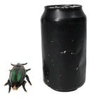 Green Wood Beetle Bug Enameled Pewter Austrian Crystals Trinket Jewelry Box