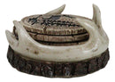 Rustic Western Forest Deer Antlers With Tree Rings Coasters And Holder Set