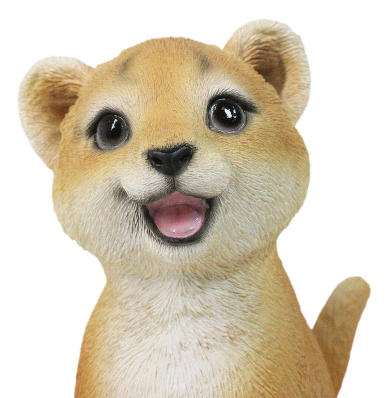 Adorable Prince of The Safari Jungle Forest African Lion Cub Figurine 4" Long