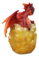 Whimsical Cute Red Baby Dragon Hatchling in Crystal Icicle Golden Egg Figurine