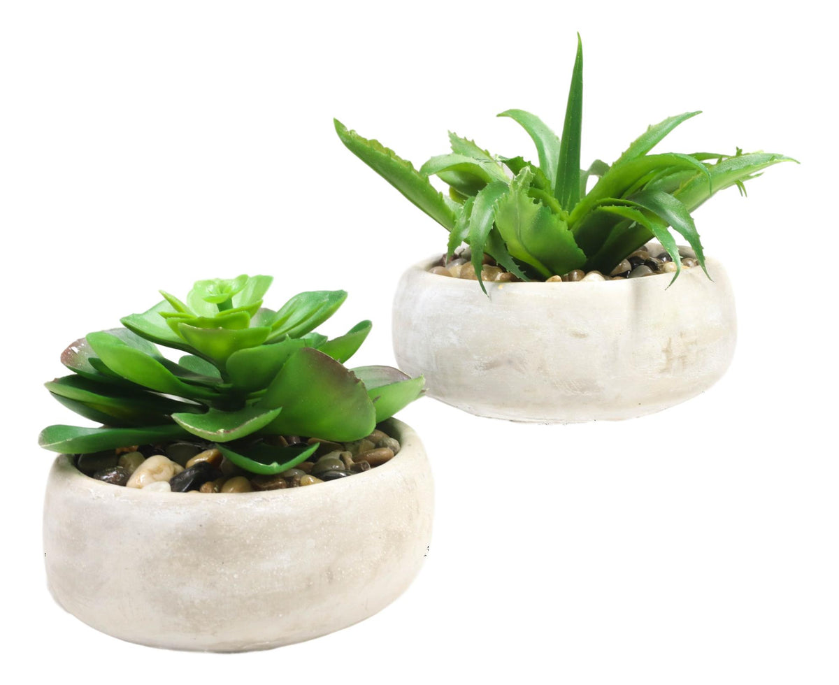 Set of 4 Realistic Artificial Botanica Plants Succulents in Cement Pot 7"Dia