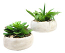 Set of 4 Realistic Artificial Botanica Plants Succulents in Cement Pot 7"Dia