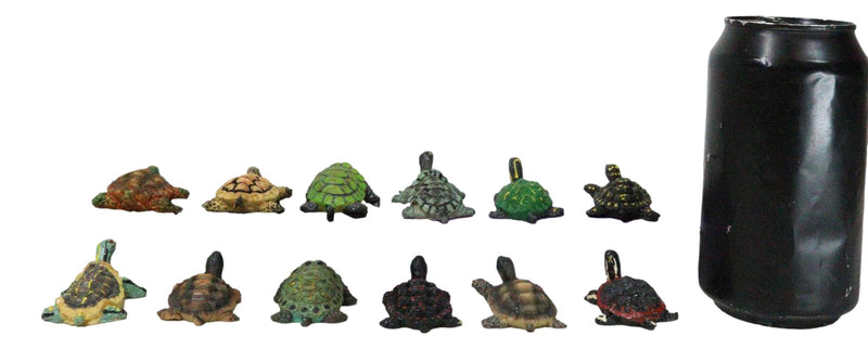 Set of 12 Marine Colorful 2" Mini Reptile Collectible Tortoise Species Figurines