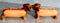 Doxies Hot Dog Sausage Wiener Dachshunds Salt And Pepper Shakers Magnetic Set