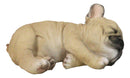 Realistic Adorable French Bulldog Dog Puppy Sleeping Figurine 6.75"Long