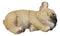 Realistic Adorable French Bulldog Dog Puppy Sleeping Figurine 6.75"Long