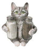 Gray Tabby Cat Salt and Pepper Glass Shakers Holder Set Cute Kitten Figurine
