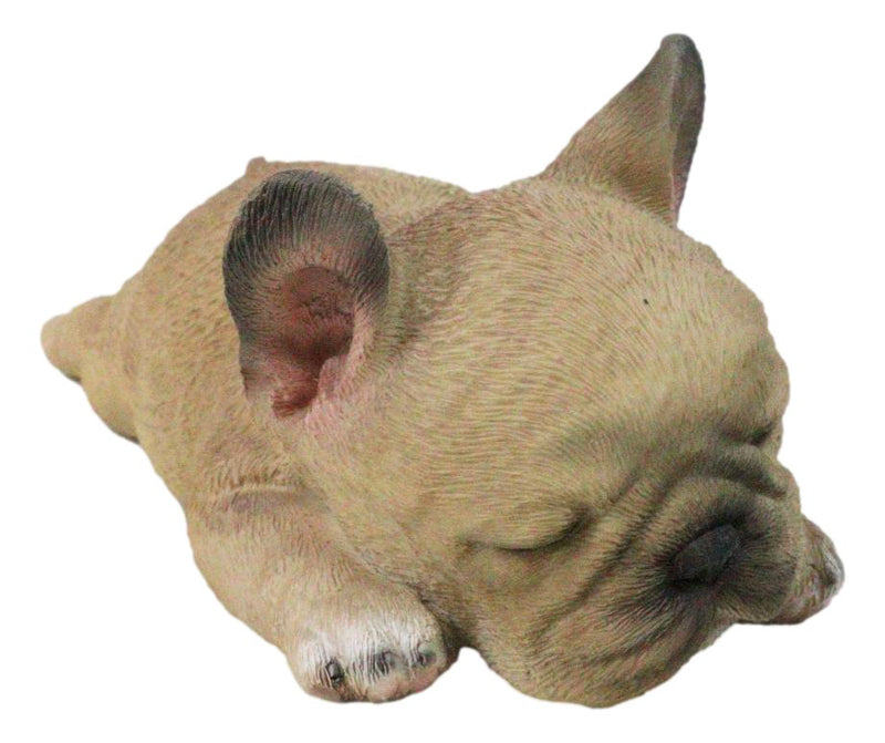Realistic Adorable French Bulldog Frenchie Dog Puppy Sleeping Figurine 7.25"L