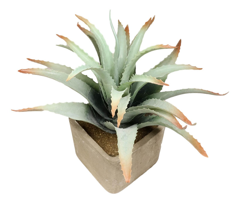 Set Of 3 Realistic Lifelike Artificial Botanica Succulents In Square Pots 11"H