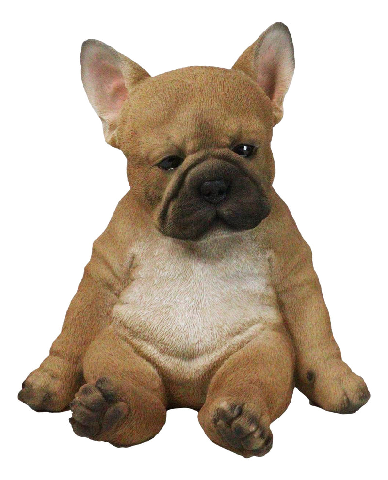 Laid Back Sitting Realistic Adorable French Bulldog Puppy Dog Figurine 7.5"H