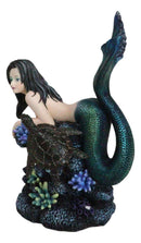 Siren Mermaid With Iridescent Tail And Turtle Companion By Coral Rocks Statue