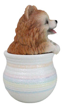 Pet Pomeranian Pom Pom Teacup Puppy Dog Figurine With Glass Eyes Pup In Pot