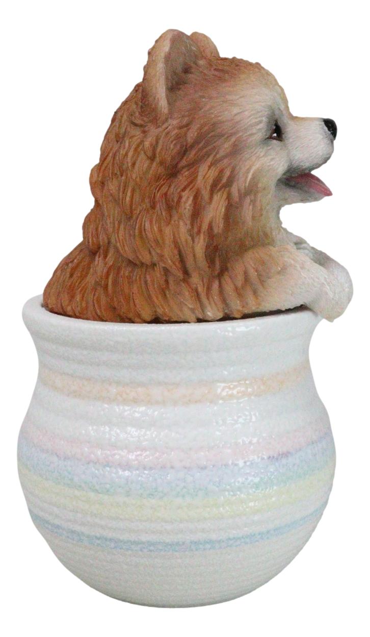 Pet Pomeranian Pom Pom Teacup Puppy Dog Figurine With Glass Eyes Pup In Pot