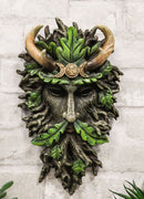 Antler King Crown Celtic Greenman Wicca Triple Moon Tree Ent Wall Decor Plaque