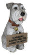 Adorable Grey Schnauzer Dog Sitting With Jingle Collar Greetings Sign Statue