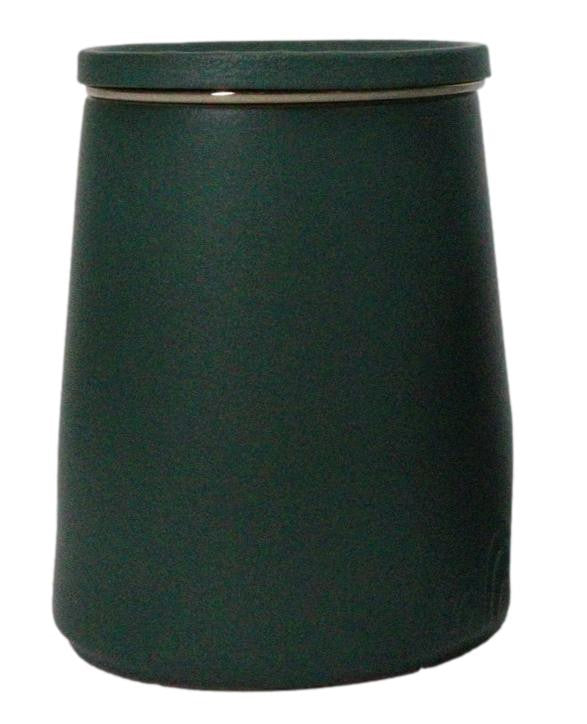 Green 15 Oz Chic Porcelain Tea Mug with Wooden Handle, Lid and Infuser