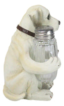 Pup And Spice Wide Eyed Cute Labrador Puppy Dog Glass Salt & Pepper Shakers Set