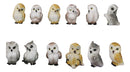 Set Of 12 Colorful Ancient Wisdom Of The Forest Woodlands Owls Mini Figurines