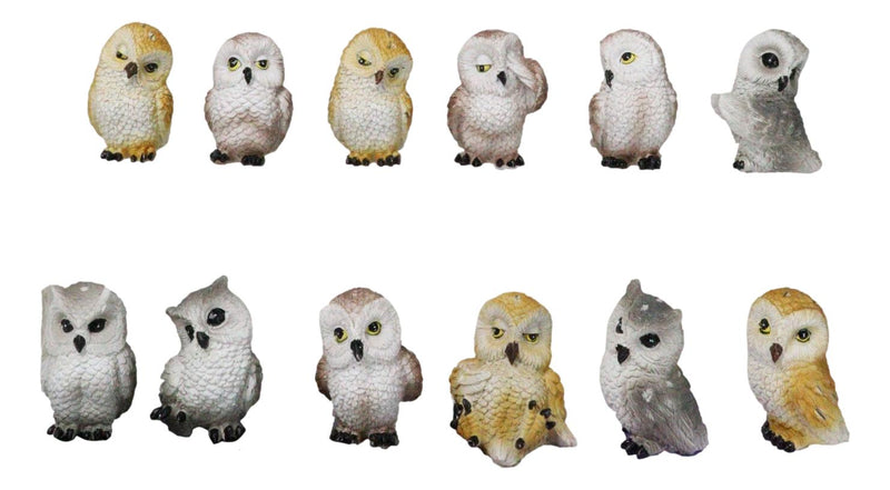 Set Of 12 Colorful Ancient Wisdom Of The Forest Woodlands Owls Mini Figurines