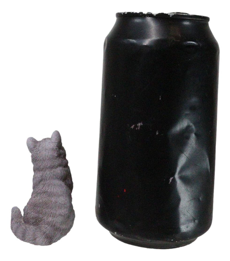 Realistic Feline British Shorthair Grey Kitty Cat Kitten Pawing Mini Figurine