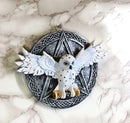 Wiccan Witch White Snowy Owl 3D Wall Plaque With Pentagram & Celtic Knotwork