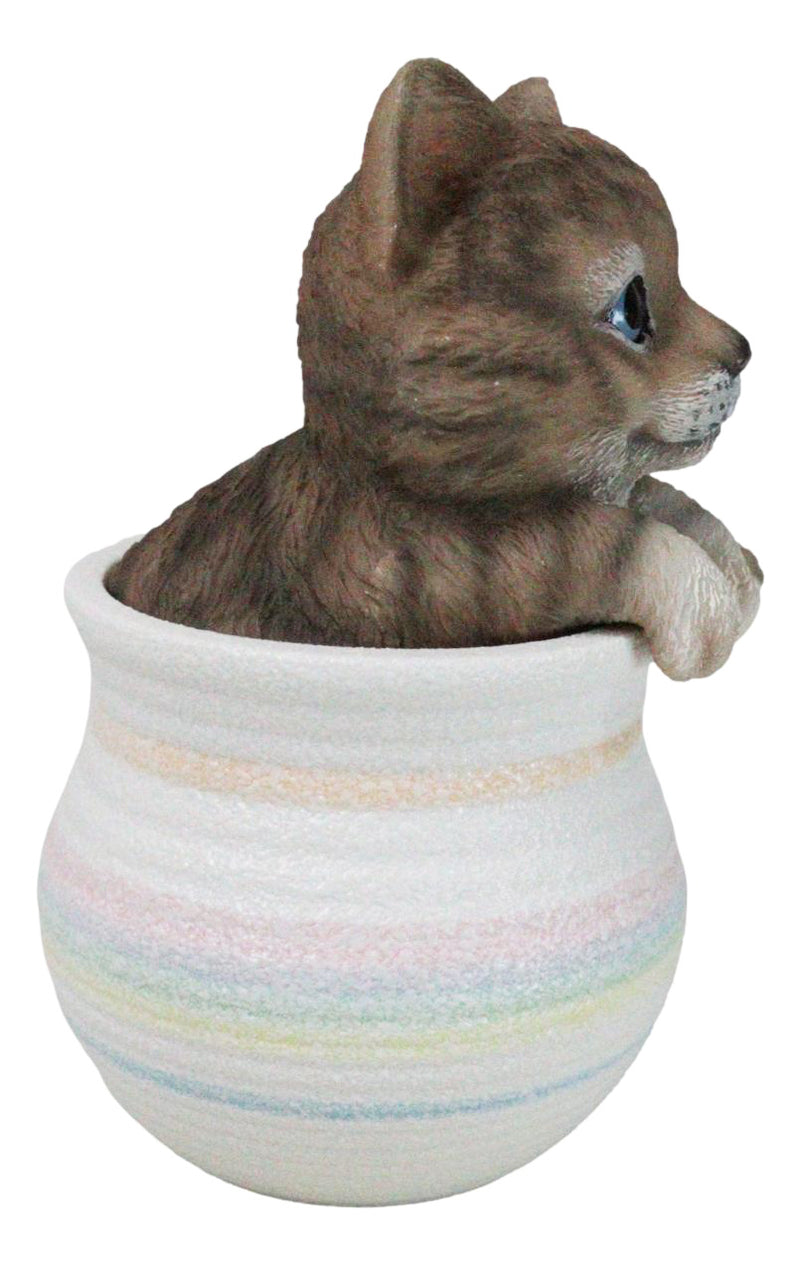 Lifelike Feline Kitty Brown Tabby Cat Blue Eyes In Pastel Artsy Pot Figurine