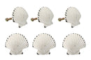 Set Of 6 Distressed White Marine Seashell Clam Brass Cabinet Door Pull Knobs