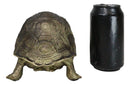 Marine Reptile Lifelike Galapagos Tortoise Taxidermy Replica Figurine 8"L