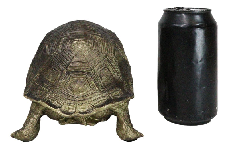 Marine Reptile Lifelike Galapagos Tortoise Taxidermy Replica Figurine 8"L