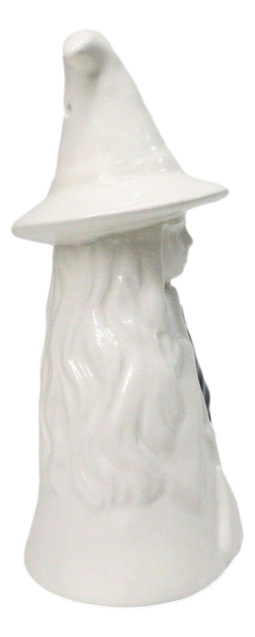Wiccan Magic Hocus Pocus Black And White Witches Ceramic Salt Pepper Shakers Set
