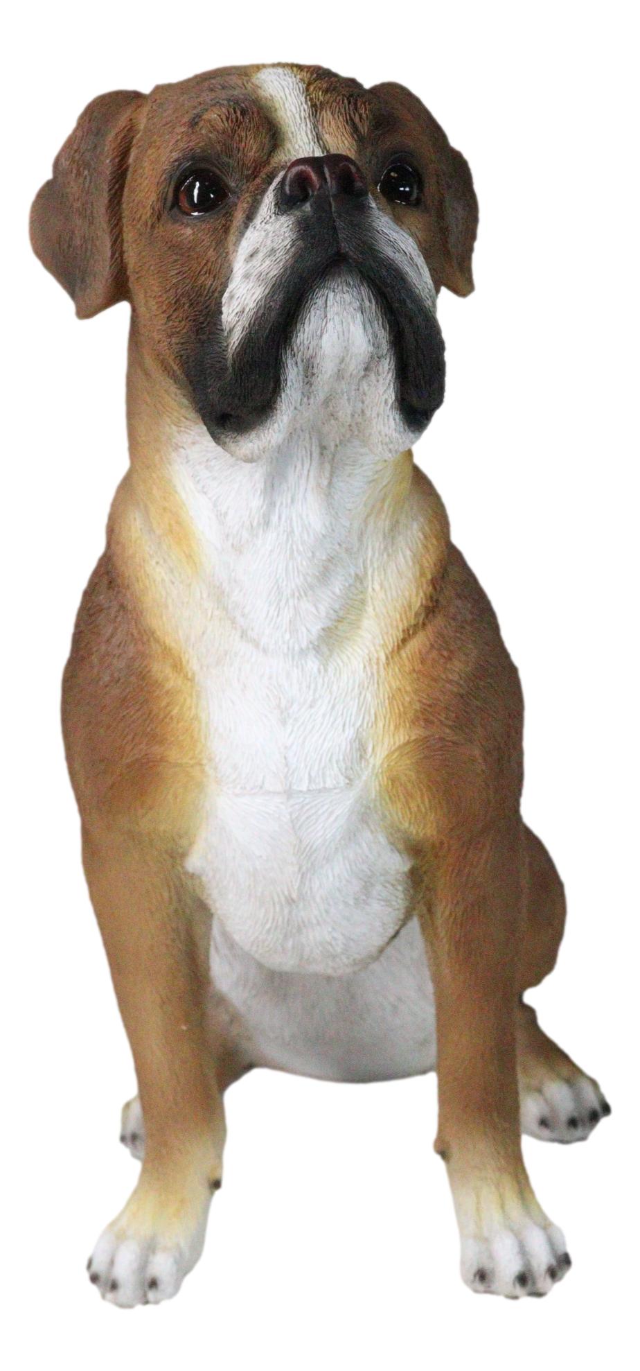 Large 18" Tall Adorable Realistic Sitting Fawn Boxer Dog Statue Home Decor