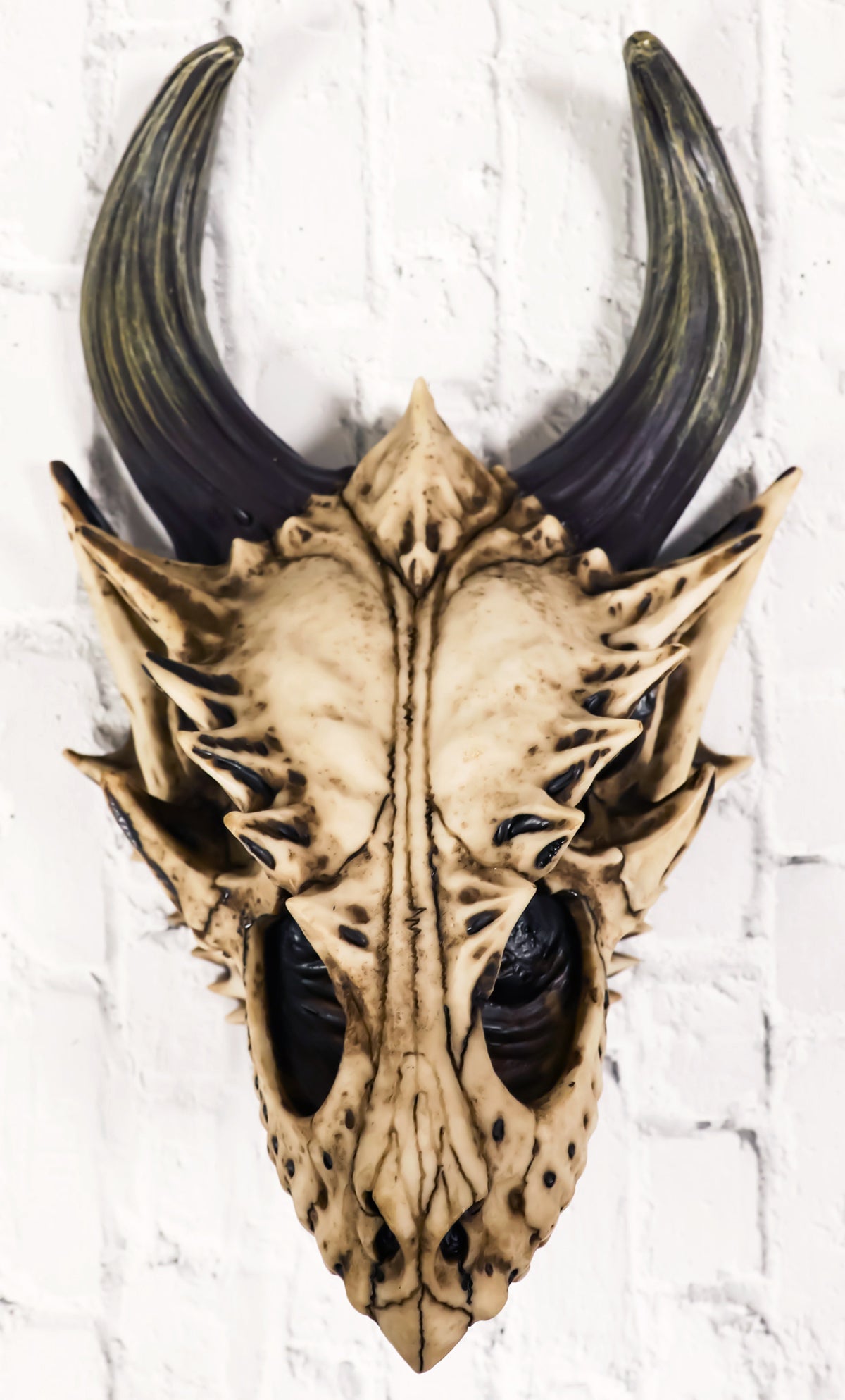 Jurassic Beowulf Gnarling Dragon Head Skull Realistic Fossil Wall Decor Figurine