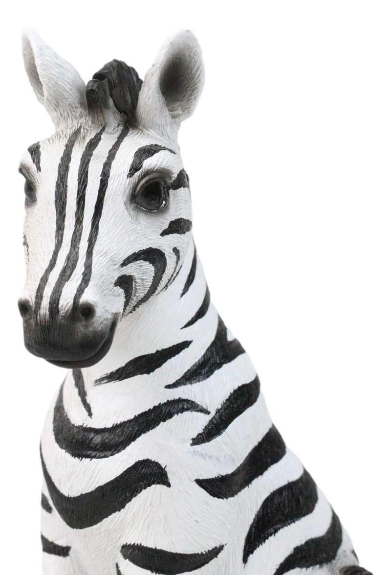 Wildlife Nature Safari Savanna Equid Zebra Horse Foal Sitting Figurine