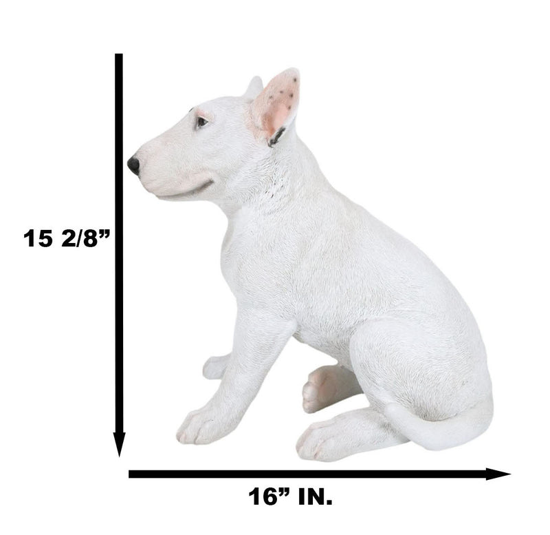 Large Lifelike Comical Bull Terrier Sitting Statue 16" L Fine Pedigree Dog Decor