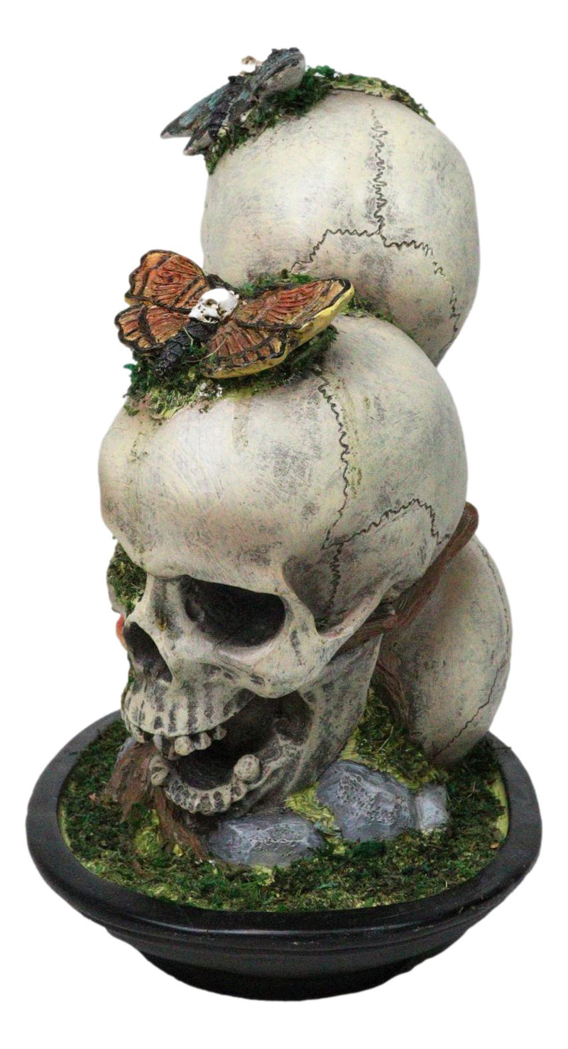 Macabre Death Moths Toadstool Mushrooms and Moss Fungi Trio Skulls Figurine