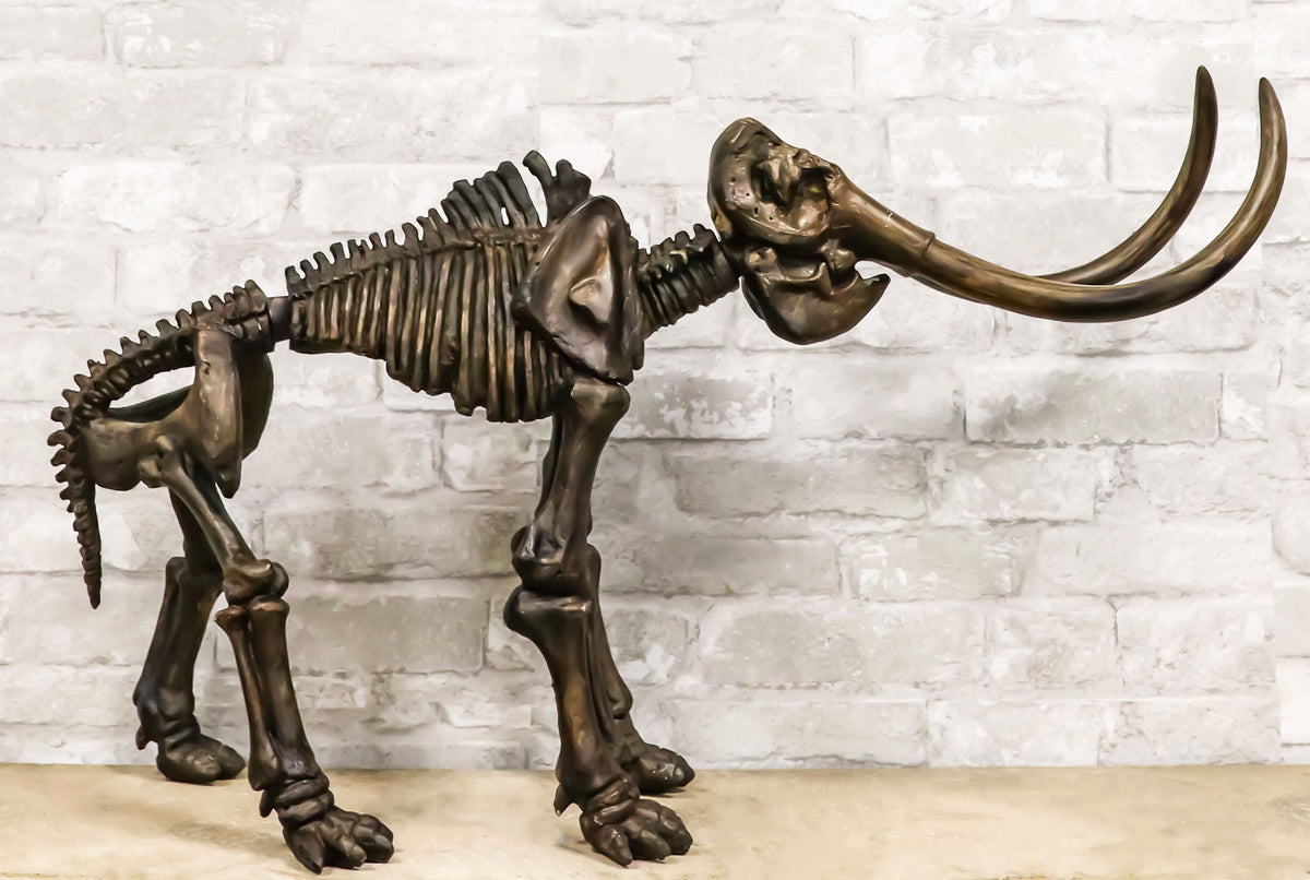 Ebros Prehistoric Elephant Jurassic Era Woolly Mammoth Fossil Skeleton 30"Long