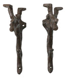 Pack of 2 Cast Iron Nature Flora Fauna Twig Branch Wall Shelf Brackets 7"H