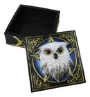 Snowy Owl Trinket Box, 5 x 5 Inch Decorative Keepsake Box with Celtic Knotwork