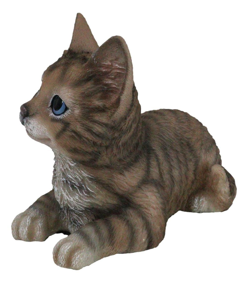 Lifelike Adorable Sitting Gray Brown Tabby Feline Kitten Cat Pet Pal Figurine