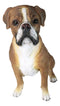 Large 18" Tall Adorable Realistic Sitting Fawn Boxer Dog Statue Home Decor