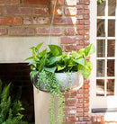 Farmhouse Rustic Galvanized Metal Gold Accent Hanging Round Wall Planter 11" Pot