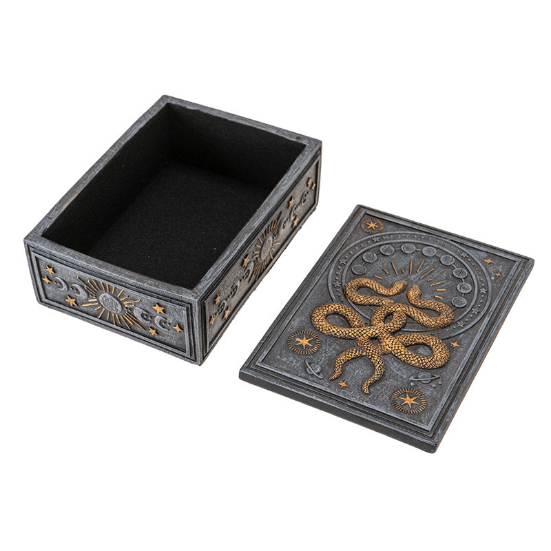 Wicca Occult Phases Of The Moon Celestial Astrology 2 Serpent Snakes Trinket Box