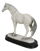 Equine Rare Breed Camarillo White Horse Steed Model Figurine On Base 6.25"L