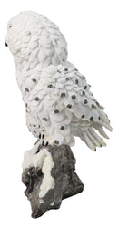 Snowy Owl Mother and Owlet Figurine on Snow-Covered Rock Nature Wildlife Bird