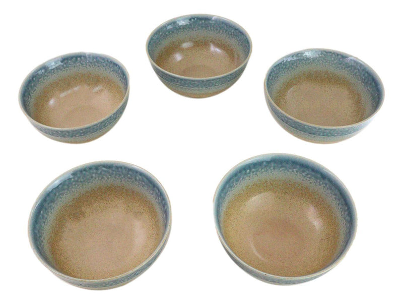 Pack Of 5 Blue River Ao Nagashi Medium Soup Salad Rice Donburi Poke Bowls 24oz