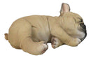 Realistic Adorable French Bulldog Dog Puppy Sleeping Figurine 6.75"Long