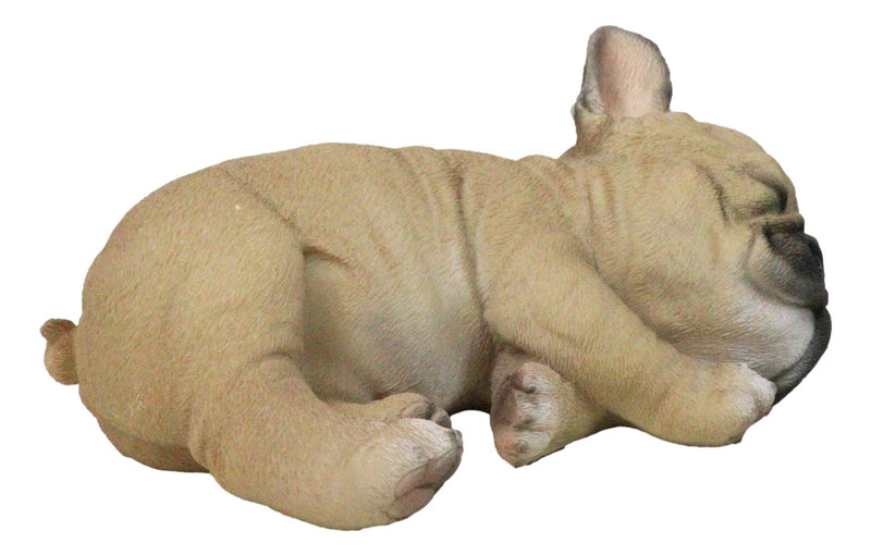 Realistic Adorable French Bulldog Dog Puppy Sleeping Figurine 6.75"Long
