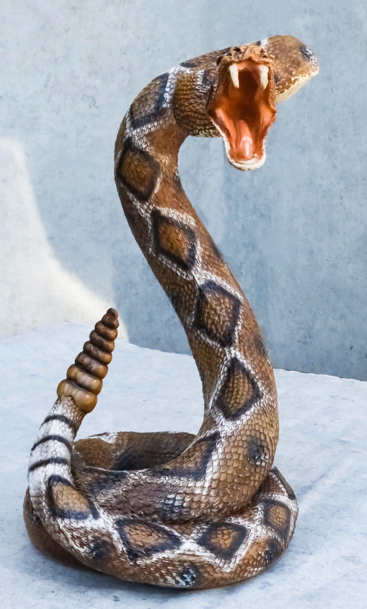 Realistic Attacking Coiled Diamondback Rattlesnake With Fangs Bared Figurine - Ebros Gift